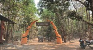 पर्यटकों के लिए कांगेर घाटी राष्ट्रीय उद्यान खुला