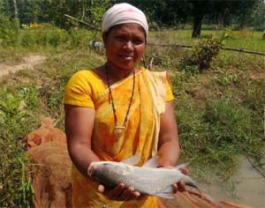   आजीविका डबरियों से महिलाओं की आय बढ़ाने की पहल