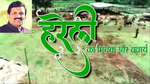 हरेली का मिथक और यथार्थ हरेली का मिथक और यथार्थ