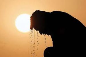  आने वाले देशों में गर्मी इंसान की बर्दाश्त की हद से आगे निकल जाएगी : मौसम वैज्ञानिकों की चेतावनी