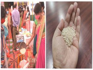 सूक्ष्म पोषक तत्वों विटामिन ठ 12, फोलिक एसिड और आयरन से भरपूर है फोर्टिफाइड चावल...