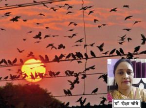 शीत के दोहे