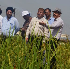  कृषि जैव विविधता में छत्तीसगढ़ : एक महत्वपूर्ण प्रदेश