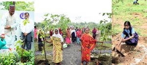 आइए इस हरेली धरती माँ का श्रृंगार करें, एक पेड़ मां के नाम लगाएं