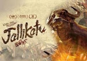 ऑस्कर में ‘जलीकट्टू' फिल्म भारत का करेगी प्रतिनिधित्व ऑस्कर में ‘जलीकट्टू' फिल्म भारत का करेगी प्रतिनिधित्व