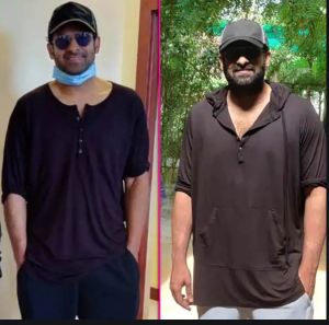 आदिपुरुष फिल्म के लिए प्रभास ने घटाया कई किलो वजन आदिपुरुष फिल्म के लिए प्रभास ने घटाया कई किलो वजन