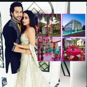 इस आलीशान महल में लेंगे वरुण-नताशा सात फेरे इस आलीशान महल में लेंगे वरुण-नताशा सात फेरे