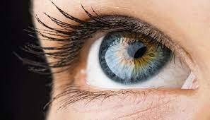 आंखों से बयां हो सकता है आपकी सेहत का राज, कभी न करें इन लक्षणों को इग्नोर आंखों से बयां हो सकता है आपकी सेहत का राज, कभी न करें इन लक्षणों को इग्नोर
