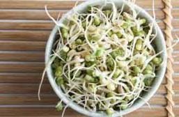 बीन स्प्राउट्स का सेवन करने से सेहत को मिलते हैं ये कमाल के फायदे बीन स्प्राउट्स का सेवन करने से सेहत को मिलते हैं ये कमाल के फायदे