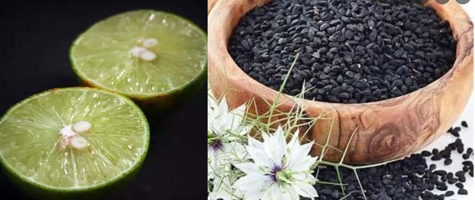 कलौंजी और नींबू तेजी से कम करते हैं वजन, जानें सेवन का तरीका और अन्य फायदे कलौंजी और नींबू तेजी से कम करते हैं वजन, जानें सेवन का तरीका और अन्य फायदे