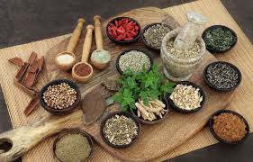 ठंड में बच्चों की इम्यूनिटी बढ़ाने में फायदेमंद हैं ये 5 आयुर्वेदिक जड़ी बूटियां ठंड में बच्चों की इम्यूनिटी बढ़ाने में फायदेमंद हैं ये 5 आयुर्वेदिक जड़ी बूटियां