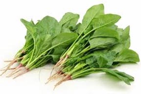डाइट में शामिल करें ये 5 सब्जियां, Vitamin B12 की कमी पूरा करने में मिलेगी मदद डाइट में शामिल करें ये 5 सब्जियां, Vitamin B12 की कमी पूरा करने में मिलेगी मदद