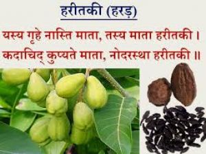  आंतों की सफाई करें  हरीतकी या हरड़