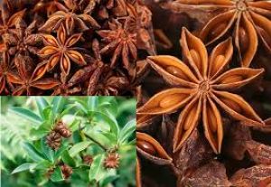 प्राकृतिक चिकित्सक है  ये फूल
