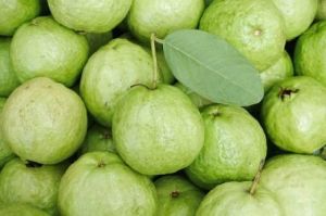   सर्दियों में अमरूद का सेवन करने से मिलते हैं ये फायदे......
