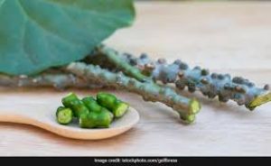  इम्यूनिटी बढ़ाने के लिए  गिलोय का अत्यधिक सेवन पहुंचा सकता है नुकसान