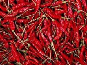 जोड़ों के दर्द से चाहते हैं छुटकारा तो खाने में करें लाल मिर्च का इस्तेमाल