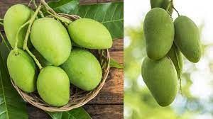 इम्यून सिस्टम को मजबूत करता है कच्चा आम