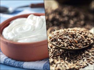  दही और भूने जीरे के सेवन से सेहत को होते हैं 7 फायदे, जानें नुकसान भी