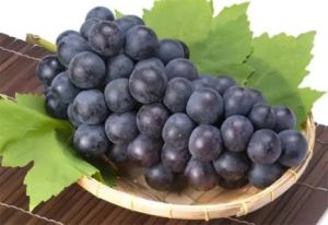  गंभीर बीमारियों से बचाएगा काला अंगूर, मोटापा भी हो जाएगा कम, जानें गजब के फायदे
