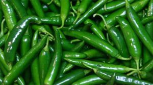 काम की चीज है हरी मिर्च, इसके जादुई फायदे जानकर निकल जाएंगे 'खुशी के आंसू'