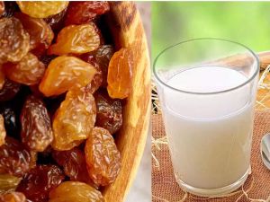  एक गिलास दूध में उबाल लें 5 से 7 मुनक्के, फिर रात को सोने से पहले पिएं ये चमत्कारी दूध