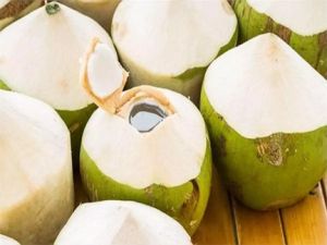  बच्चों समेत इनके लिए बेहद फायदेमंद है नारियल पानी
