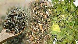  मोटापा और मधुमेह को जड़ से खत्म करता है चिरायता