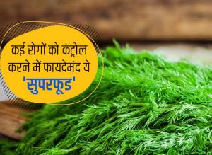 शरीर को कई फायदे पहुंचाते हैं सोया के पत्ते, जानें कैसे करें इस्तेमाल