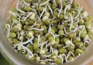  अंकुरित मूंग का इस वक्त करें सेवन, कई बीमारियां रहेंगी दूर