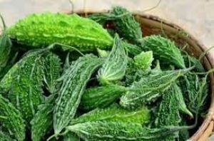  वजन घटाने के लिए करेले का जूस करें ट्राई