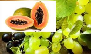 ये फल कब्ज और एसिडिटी से दिलाएंगे राहत