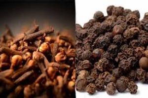  इम्युनिटी बढ़ाने के लिए इन दो औषधियों को कर लें आहार में शामिल
