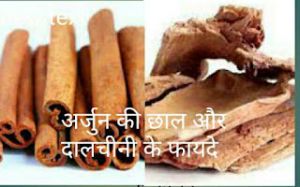    अर्जुन की छाल और दालचीनी का काढ़ा पीने से सेहत को होते हैं ये 7 फायदे