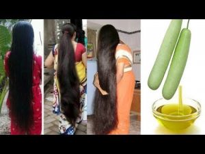  लौकी का तेल बालों को तेजी से लंबा और घना बना देगा, जानें इस तेल को बनाने का तरीका