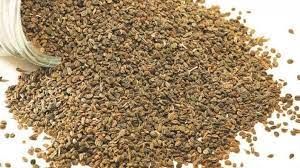  वात, अपच और सर्दी जैसी कई तकलीफों को दूर  करें अजवाइन