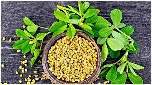  गठिया और मधुमेह के इलाज में उपयोगी मेथी