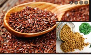  सेहत के लिए मेथी और अलसी के फायदे, जानें सेवन का तरीका