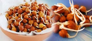  भुने, अंकुरित या उबालकर, किस तरह चने खाना है ज्यादा फायदेमंद?
