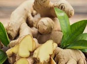 आयुर्वेद में कई मर्जों की दवा है अदरक, जानें खाने का तरीका और फायदे