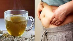  पेट में जमा जिद्दी चर्बी से छुटकारा चाहते हैं? फॉलो करें ये 5 आयुर्वेदिक उपाय, तेजी से घटेगा बैली फैट