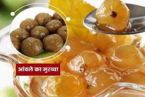 जल्दी-जल्दी हो जाती है सर्दी-जुकाम, तो इन फलों के मुरब्बे को करें डाइट में शामिल
