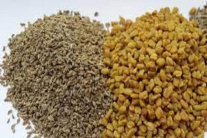 मोटापे से लेकर पेट की गैस तक में तेजी से असर दिखाती है मेथी और अजवाइन