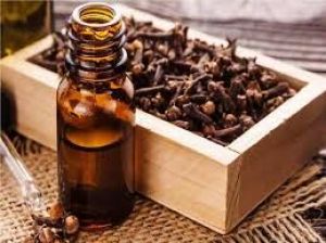  जीभ के छालों से परेशान हैं, तो ट्राई करें ये  आयुर्वेदिक उपाय 