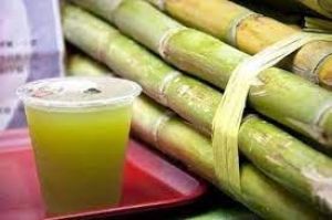  पीलिया होने पर पिएं गन्ने का जूस, धीरे-धीरे कम होने लगेंगे लक्षण