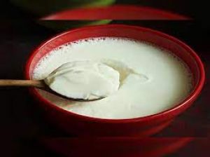  दही में चीनी या नमक, क्या मिलाकर खाना है ज्यादा फायदेमंद?