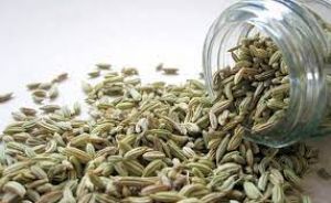  खाली पेट सौंफ खाने से शरीर को मिलते हैं अनोखे फायदे, जानें तरीका