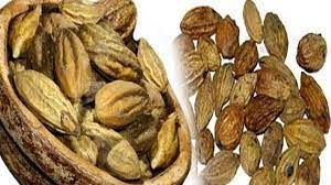   खाली पेट हरड़ खाने से सेहत को मिलते हैं ये 5 जबरदस्त फायदे 