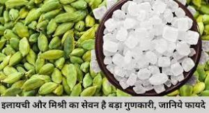  धागे वाली मिश्री और इलायची साथ में खाने से सेहत को मिलते हैं ये फायदे....