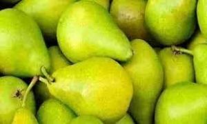 इन लोगों को भूलकर भी नहीं खाना चाहिए नाशपाती